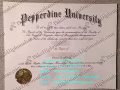 Buy fake Cabrini University diploma.