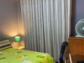 布鲁克林大单房出租