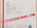 Discover: How to buy NVQ fake certificate?