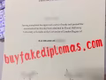 How to buy fake diploma of Royal Holloway fake diploma?