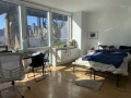 羅斯福島朝南四季陽光Studio Condo