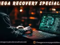 Best Crypto / Bitcoin Recovery Expert