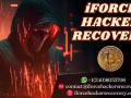 Best Bitcoin Recovery Expert to Recover Scammed Bitcoin