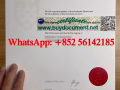 Find a best fake UT Dallas diploma.