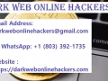 THE BEST COMPANY TO RECLAIM LOST BITCOIN /USDT /ETH