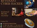 HOW CAN I RECOVER MY LOST BTC USDT / REVENANT CYBER HACKER