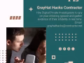 DIGITAL PRIVATE INVESTIGATORS FOR HIRE; GRAYHAT HACKS