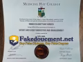 How to make a latest Medicine Hat College degree online?