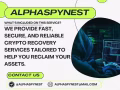 THE SOLUTION: "HOW ALPHA SPY NEST EMPOWERED ME "