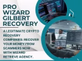 CRYPTOCURRENCY FRAUD RECOVERY HIRE PRO WIZARD GIlBERT RECOVE