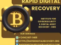 HIRE A BITCOIN PROFESSIONAL HACKER-RAPID DIGITAL RECOVERY
