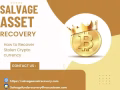 BEST HACKER TO RECOVER LOST BTC-HIRE SALVAGE ASSET RECOVERY