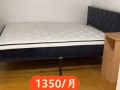 新泽西单间出租 独立卫生间