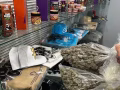 BUY High THC Weed Strains | Cannabis Seeds USA,LSD,
