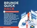LIMITED TIME OFFER: BRUNOE QUICK HACK RECOVERY SERVICES