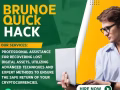 DON'T WAIT: GET YOUR CRYPTO BACK FROM THE BRUNOE QUICK HACK
