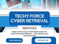 HIRE TECHY FORCE CYBER RETRIEVAL TO RECOVER YOUR STOLEN USDT