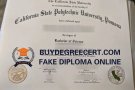How to buy a CPP diploma in 2023?