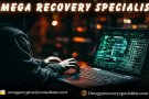 Best Crypto / Bitcoin Recovery Expert