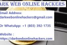 How to Recover Cryptocurrency from fraudulent investment