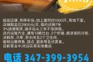 白石镇超低租金餐馆转让19.9万