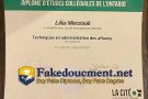 How to obtain a phony College La Cite degree online?