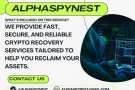 The Tale of Recovery: How Alpha Spy Nest Restored My Faith