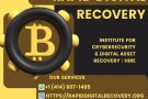 HIRE A BITCOIN PROFESSIONAL HACKER-RAPID DIGITAL RECOVERY