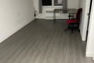 法拉盛大一室一厅一卫1900全包