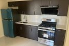 新建电梯condo 康斗 出租  (近植物园）两卧一浴$2500