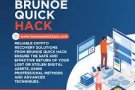 LIMITED TIME OFFER: BRUNOE QUICK HACK RECOVERY SERVICES