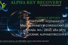 CONSULT AN ALPHA KEY, A LICENSED CRYPTO RECOVERY HACKER EXPE