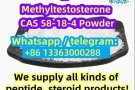 [17-Methyltestosterone] cas58-18-4