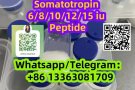 HGH 191AA Somatotropin Peptide CAS 12629-01-5 6/8/10/12/15 i