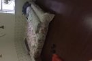 金城发超市附近一大单房出租 有窗 有床桌子椅子 拎包即住