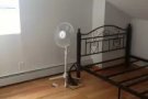 Brooklyn 华人地区19大道全层出租