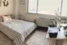 $850/mo 纽约罗岛超大有格调已隔断客厅暑期短租