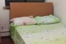 Brooklyn布鲁克林阳光大单房出租