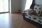 大单房出租即可拎包入住 $800/month available Now