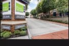 new brunswick 优美公寓plaza square 整套转租