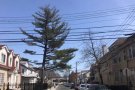 阳光别墅单房20分钟曼哈顿 家具齐全 拎包入住