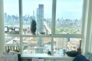 lic tower 28 精选房源 7.1-8.25短租 时间价格可议！