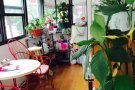 Elmhurst/RegoPark大单房出租4/2025 $795/月 拎包入住 房东直租