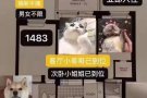 罗岛豪楼  闹中取静 天然氧吧 ny的秘密花园