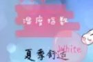 纽约studio全能小助手