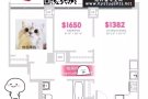 【步行哥大3分钟的Enclave】找室友啦！ 5月入住机会难得！求次卧和客厅室友