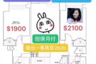 中城小资楼  客厅小姐姐已就位