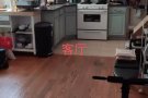 法拉盛House单房出租,$650,包水电气网,近北方大道,非中介