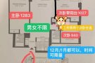 美丽而又静谧的罗岛找室友啦！！